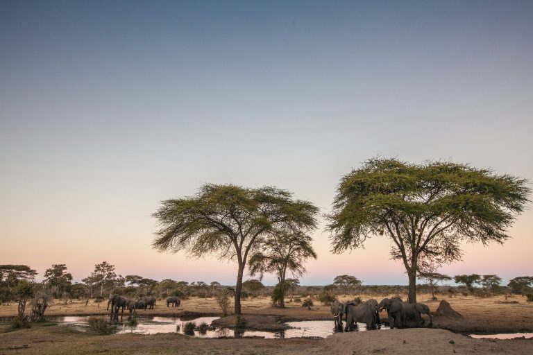 Botswana, on Its Own Terms 1